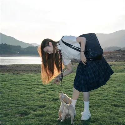 野狼历险记